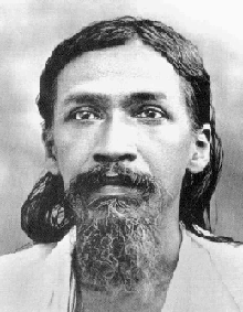 aurobindo