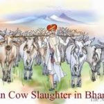 ban cow slaughter