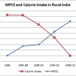 rural income calorie intake